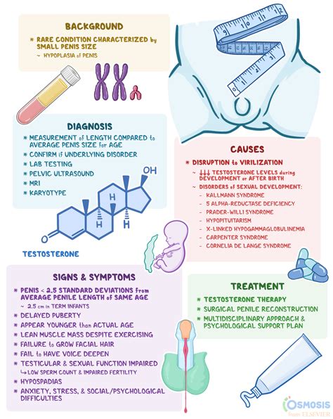 short dick|Micropenis: What Is It, Causes, Diagnosis and More .